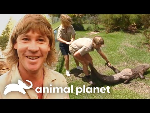 Animal Planet